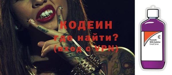 хмурый Арсеньев