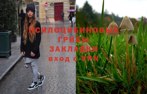 spice Алексин