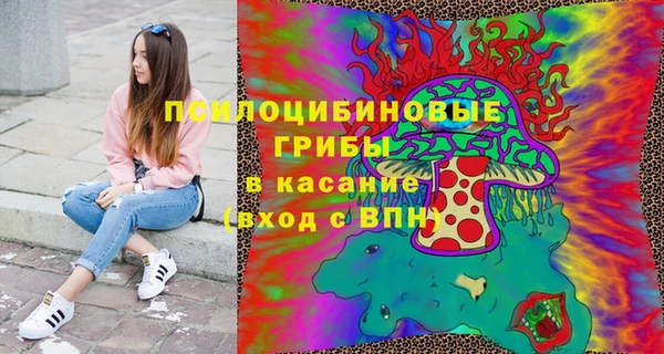 хмурый Арсеньев