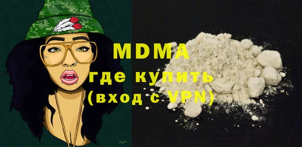 хмурый Арсеньев