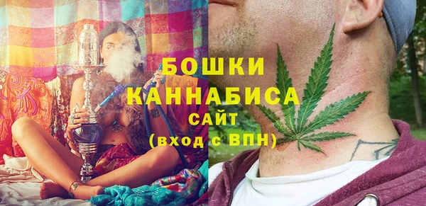 хмурый Арсеньев